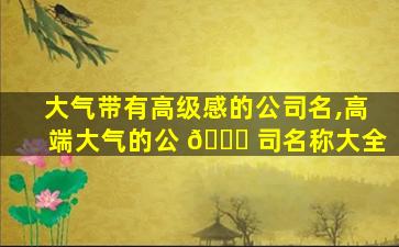 大气带有高级感的公司名,高端大气的公 🕊 司名称大全